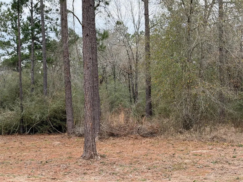 700 Pr 8160 Lovelady, TX 75851