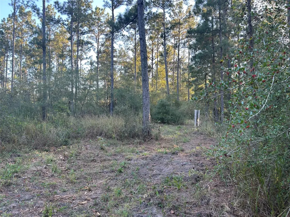 700 Pr 8160 Lovelady, TX 75851