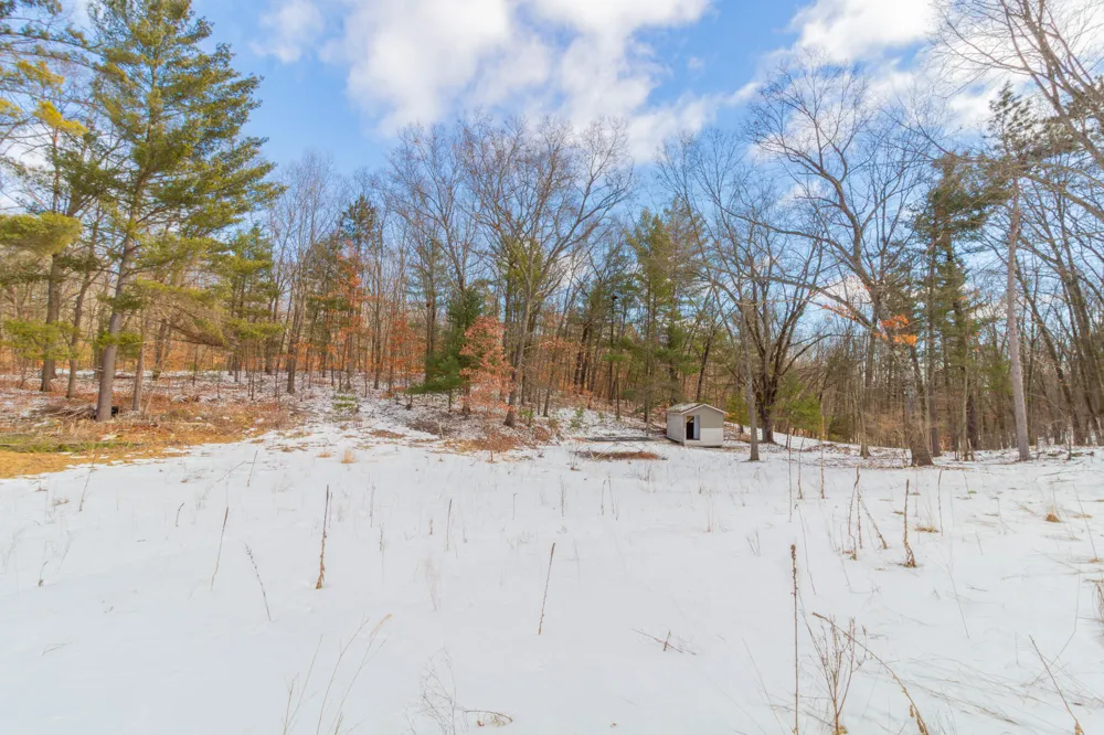 9848 90th Avenue Morton Township, MI 49332