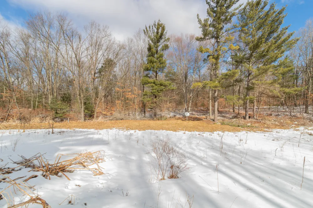 9848 90th Avenue Morton Township, MI 49332