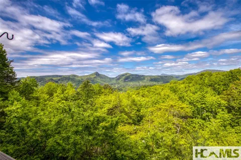 142 Eagle Ridge Road #2304