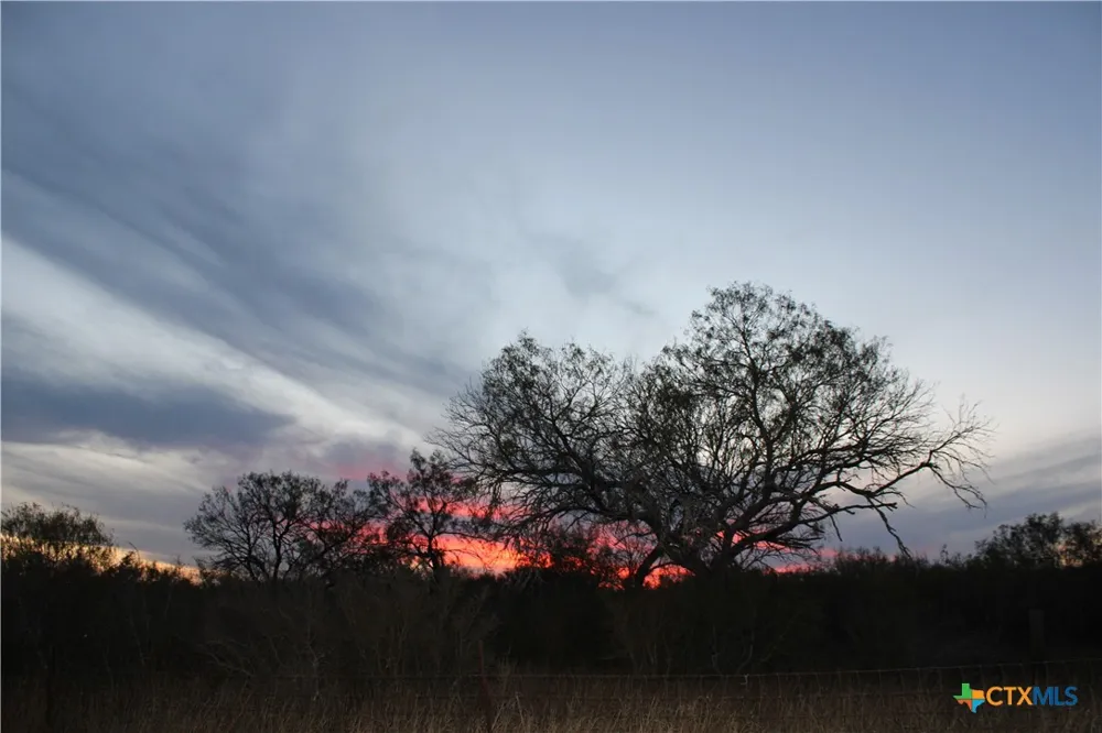 CR 339 Jourdanton, TX 78026