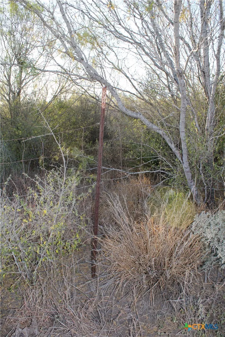 CR 339 Jourdanton, TX 78026