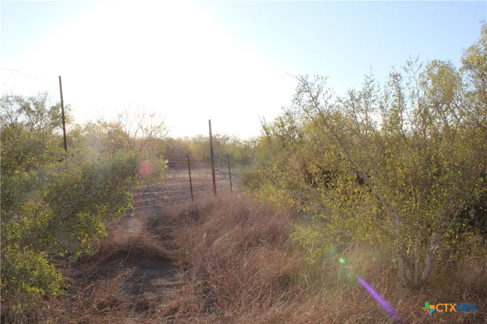CR 339 Jourdanton, TX 78026