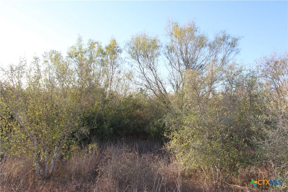 CR 339 Jourdanton, TX 78026