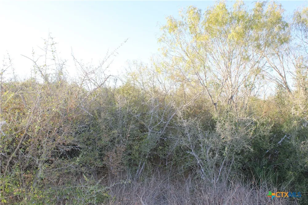 CR 339 Jourdanton, TX 78026