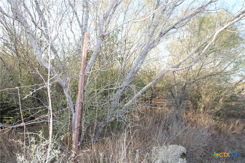 CR 339 Jourdanton, TX 78026