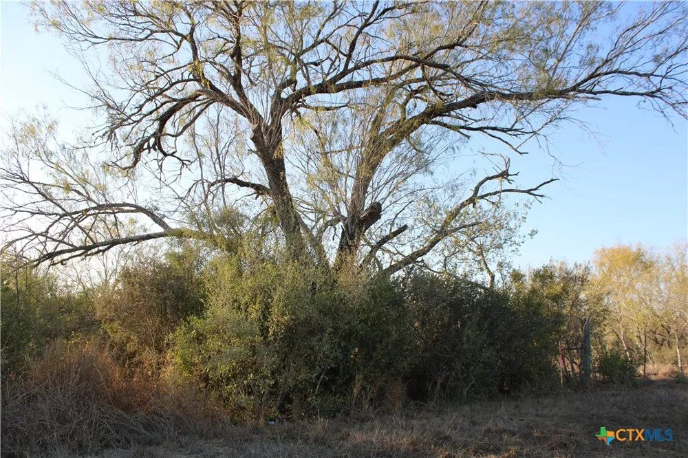 CR 339 Jourdanton, TX 78026