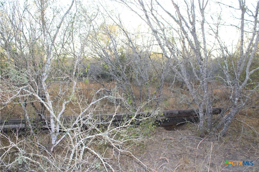 CR 339 Jourdanton, TX 78026