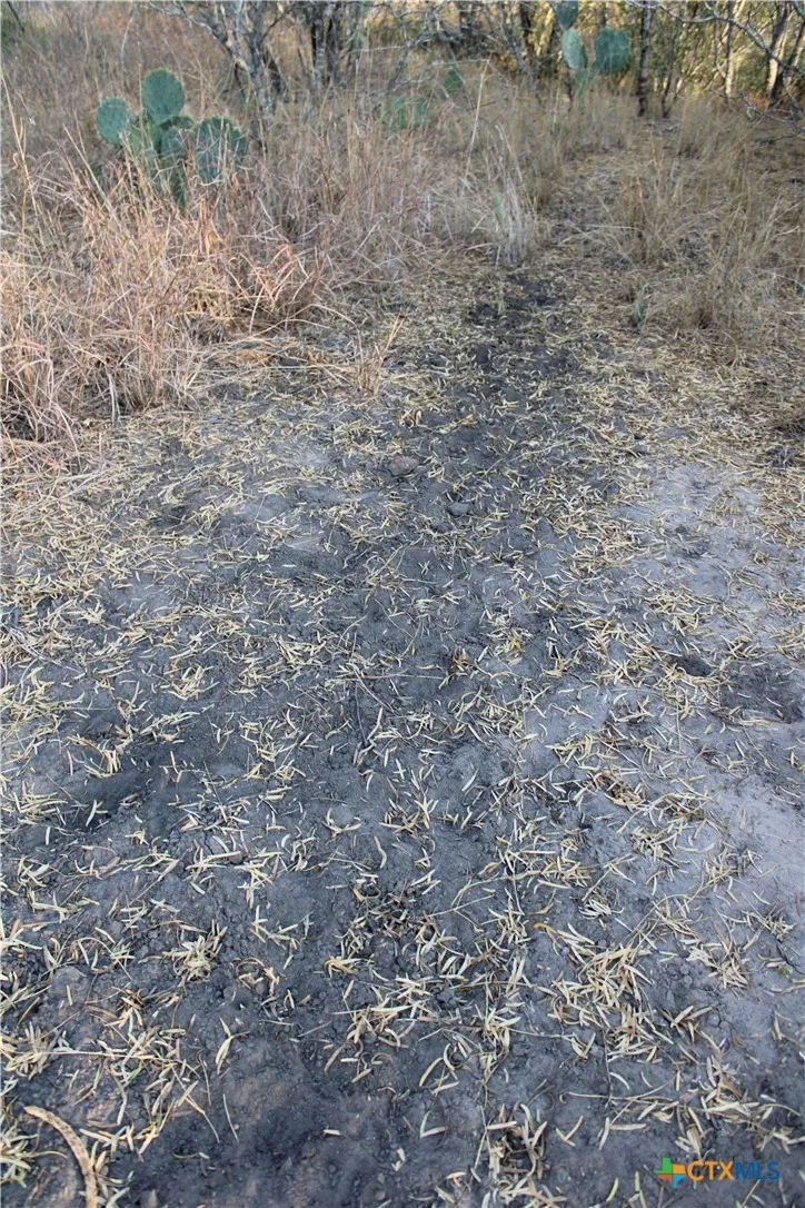 CR 339 Jourdanton, TX 78026
