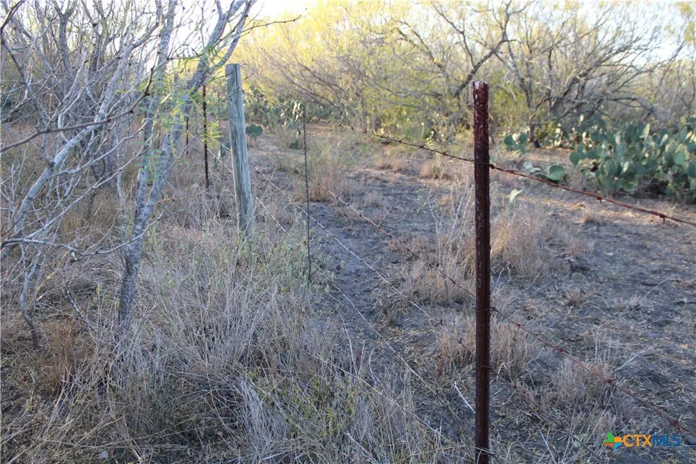 CR 339 Jourdanton, TX 78026