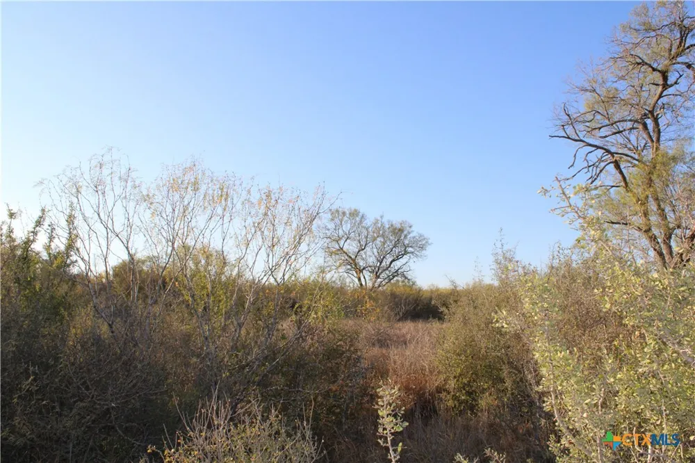 CR 339 Jourdanton, TX 78026