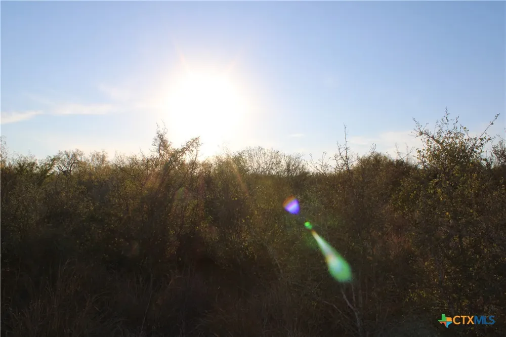 CR 339 Jourdanton, TX 78026