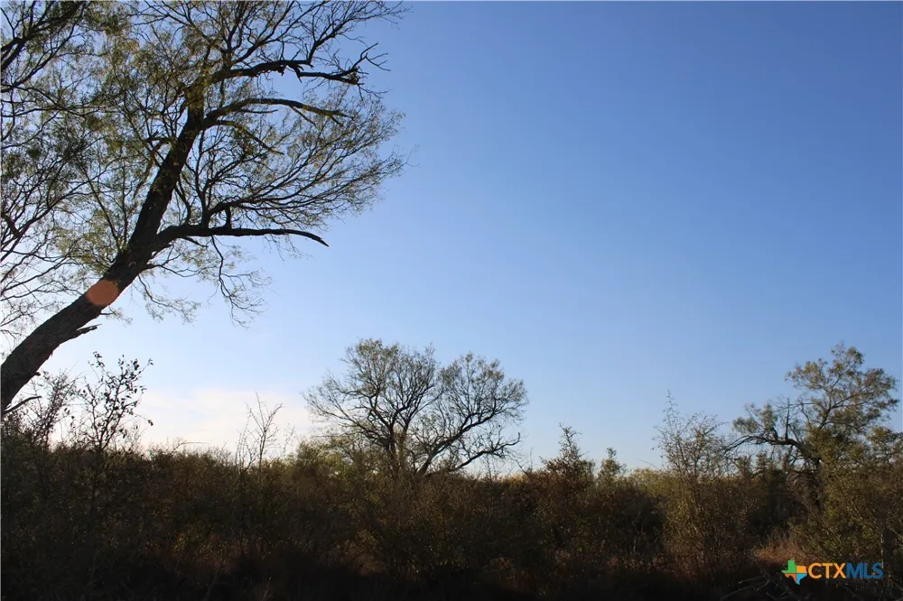 CR 339 Jourdanton, TX 78026