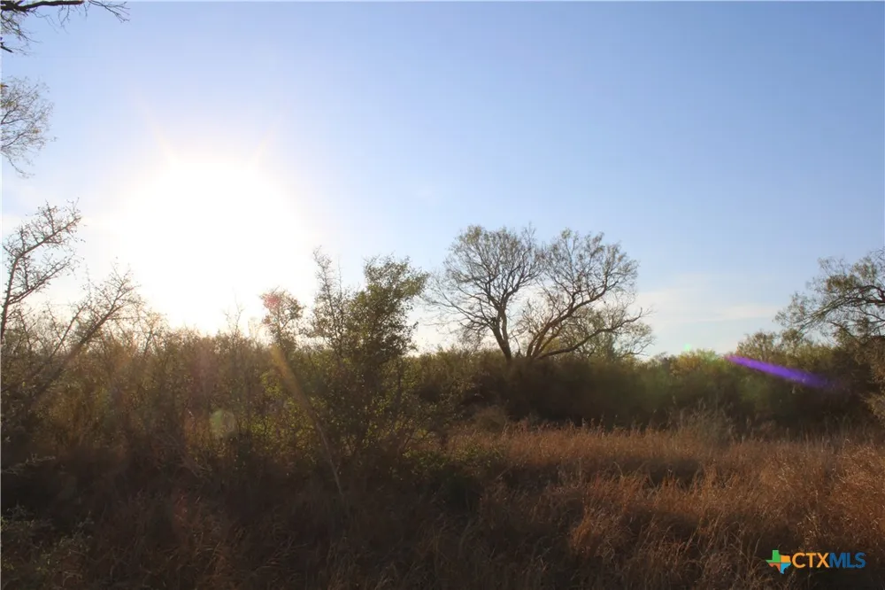CR 339 Jourdanton, TX 78026