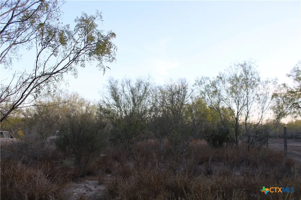 CR 339 Jourdanton, TX 78026