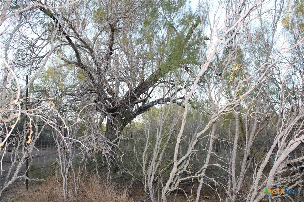 CR 339 Jourdanton, TX 78026