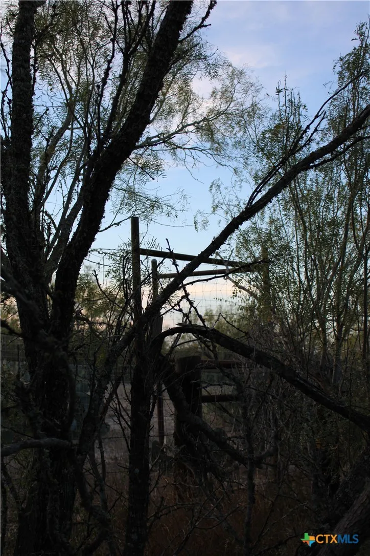 CR 339 Jourdanton, TX 78026