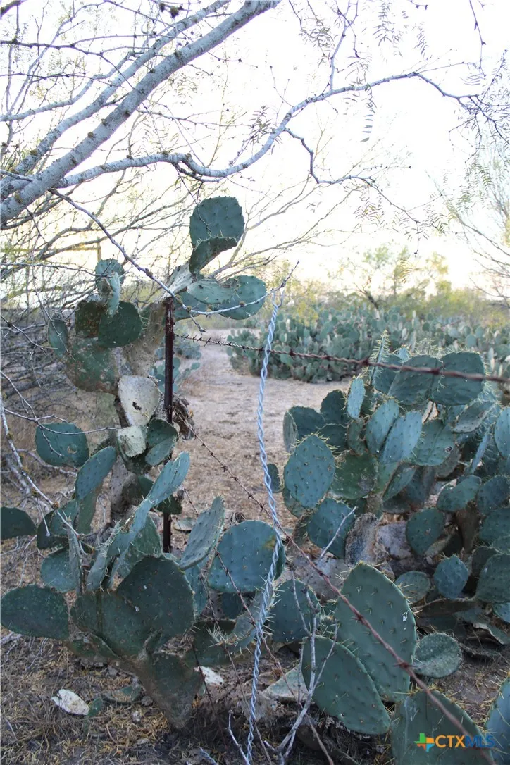 CR 339 Jourdanton, TX 78026