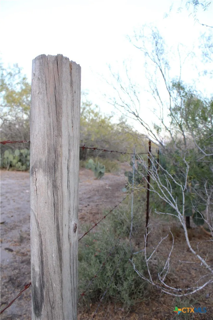 CR 339 Jourdanton, TX 78026
