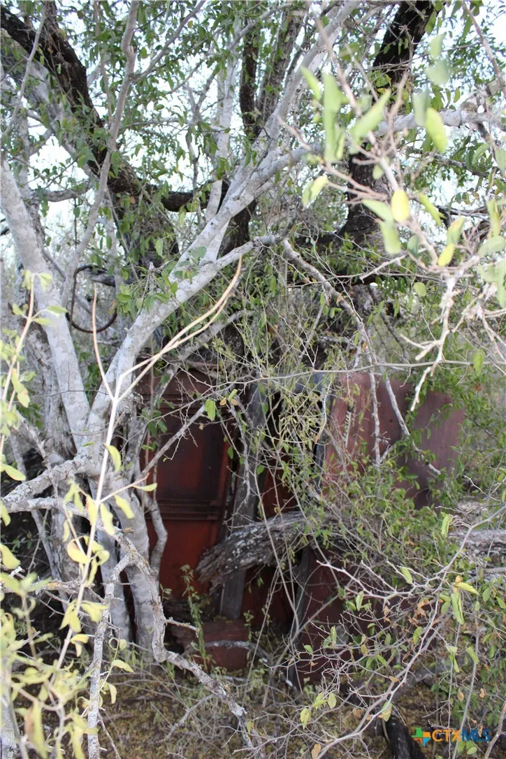 CR 339 Jourdanton, TX 78026
