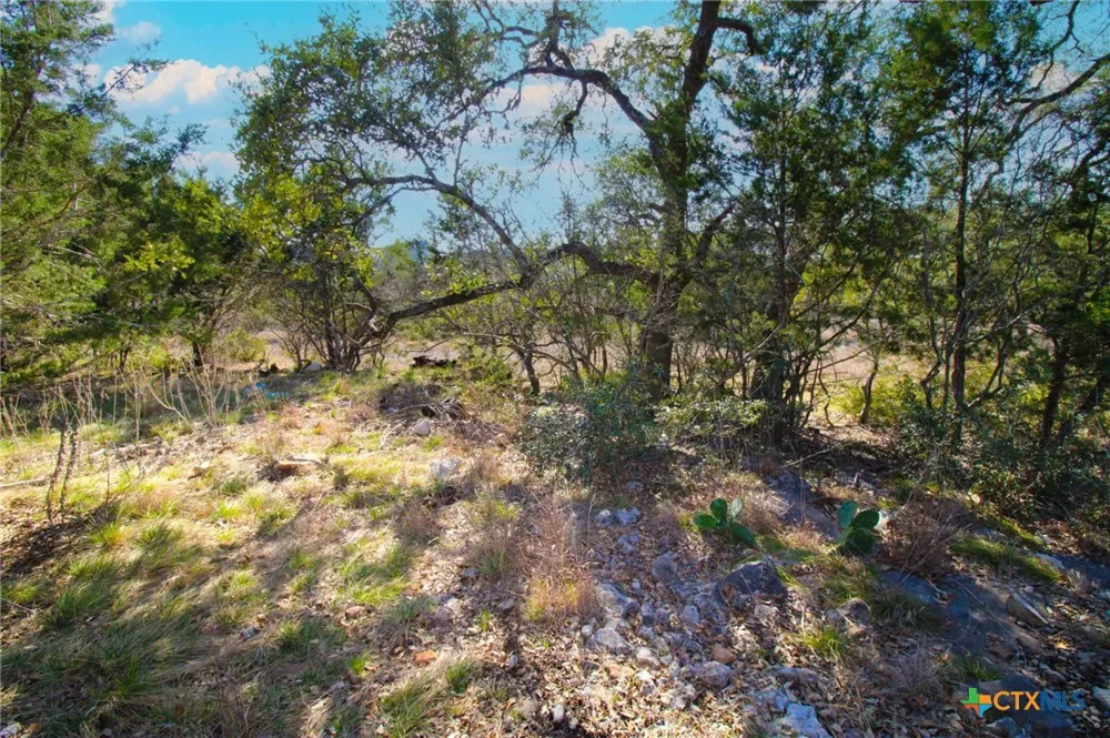 436 Cavy Road New Braunfels, TX 78132