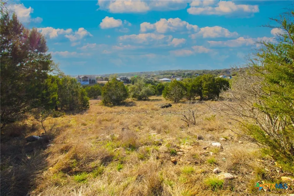 436 Cavy Road New Braunfels, TX 78132