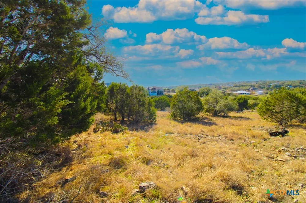 436 Cavy Road New Braunfels, TX 78132