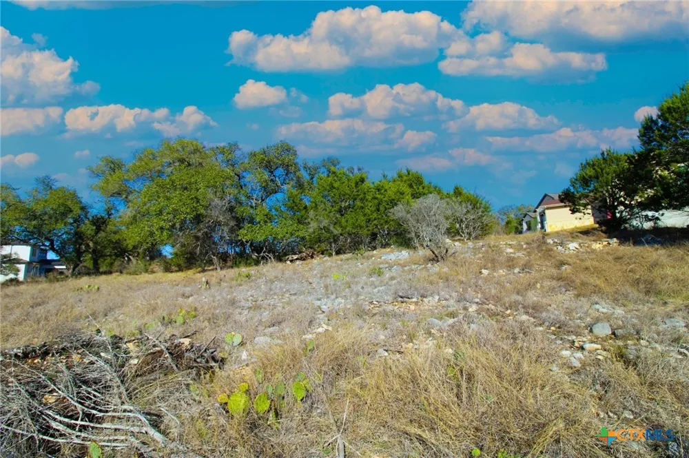 436 Cavy Road New Braunfels, TX 78132