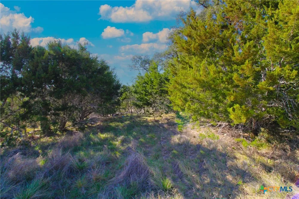 436 Cavy Road New Braunfels, TX 78132