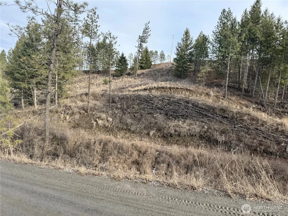6 lot TBD Lundimo Meadows Curlew, WA 99118