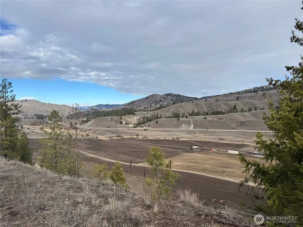 6 lot TBD Lundimo Meadows Curlew, WA 99118