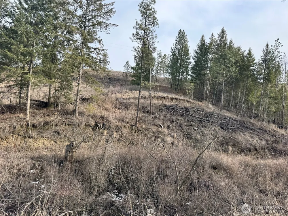 6 lot TBD Lundimo Meadows Curlew, WA 99118