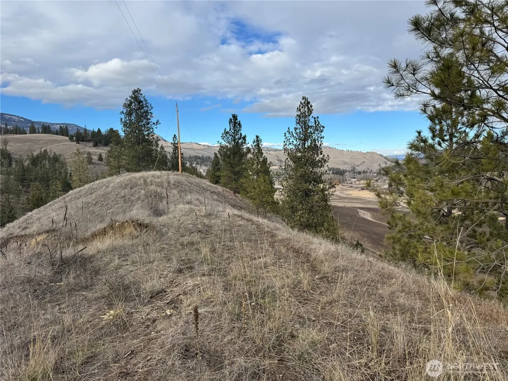 6 lot TBD Lundimo Meadows Curlew, WA 99118
