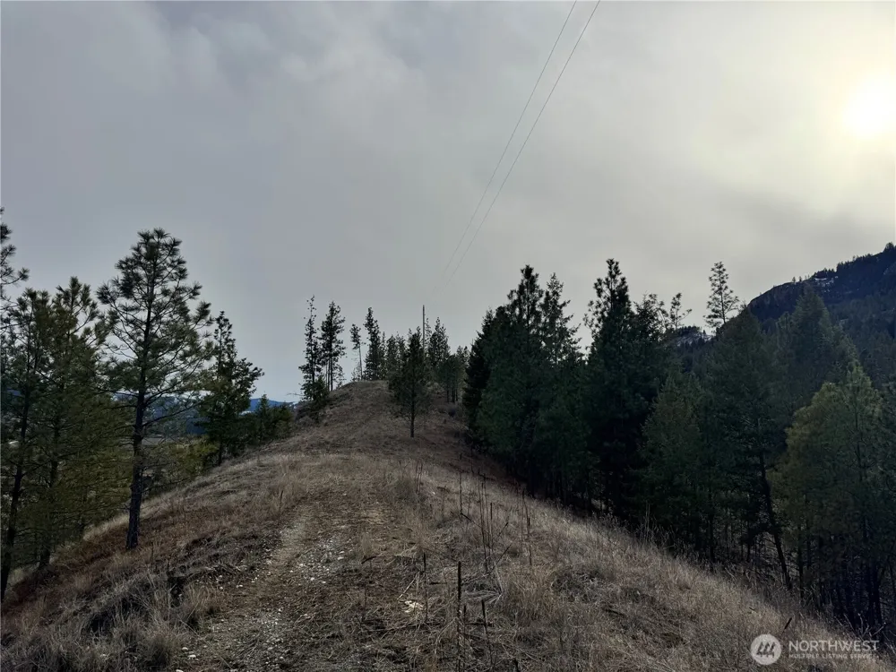 6 lot TBD Lundimo Meadows Curlew, WA 99118