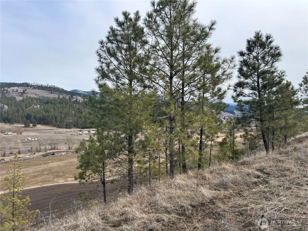 6 lot TBD Lundimo Meadows Curlew, WA 99118