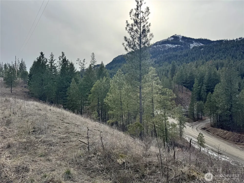 6 lot TBD Lundimo Meadows Curlew, WA 99118