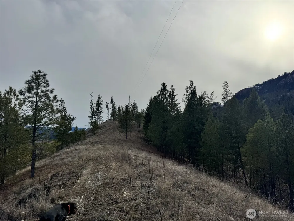 6 lot TBD Lundimo Meadows Curlew, WA 99118