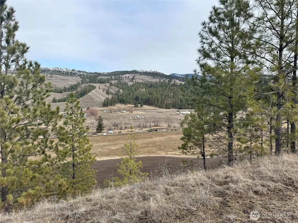 6 lot TBD Lundimo Meadows Curlew, WA 99118