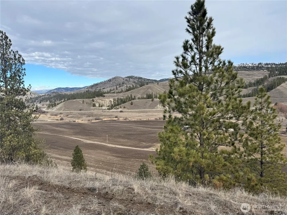6 lot TBD Lundimo Meadows Curlew, WA 99118