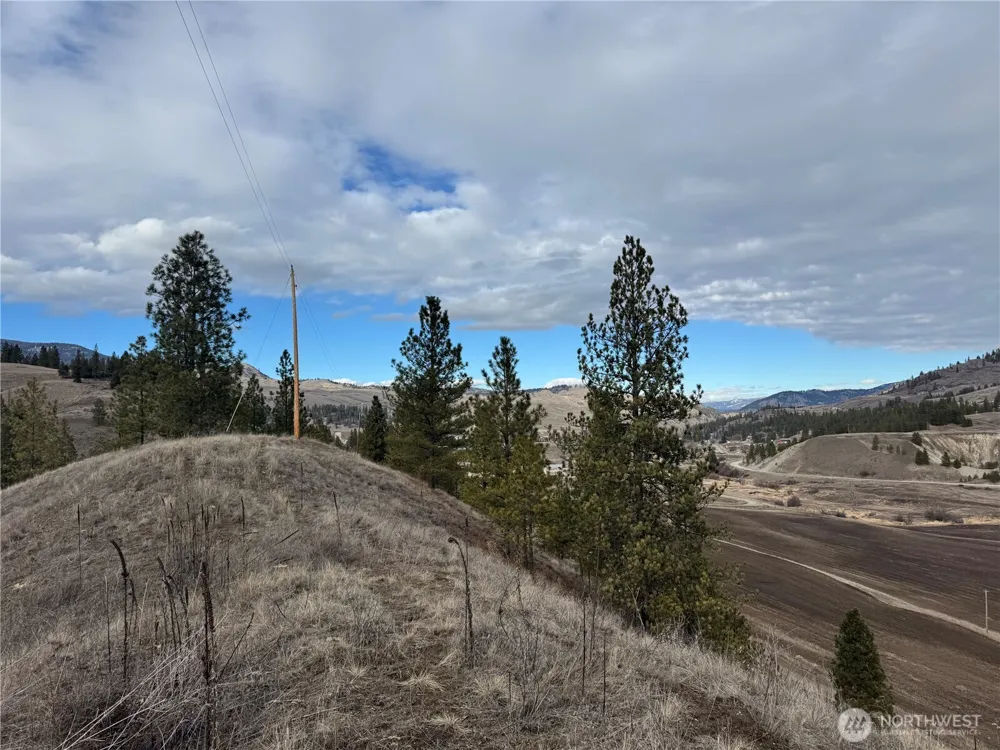 6 lot TBD Lundimo Meadows Curlew, WA 99118
