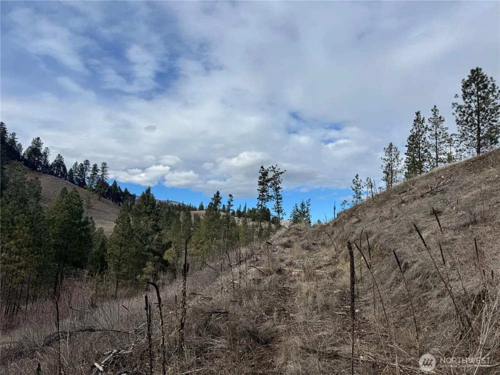 6 lot TBD Lundimo Meadows Curlew, WA 99118