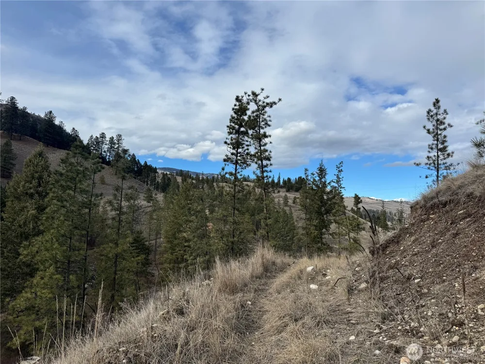 6 lot TBD Lundimo Meadows Curlew, WA 99118