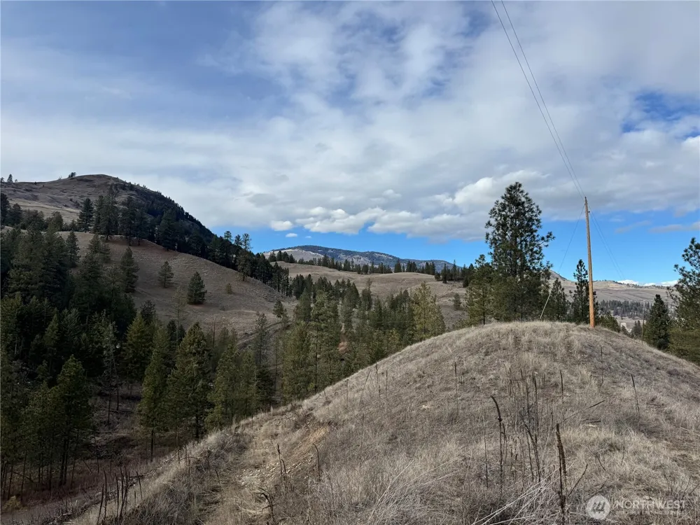 6 lot TBD Lundimo Meadows Curlew, WA 99118