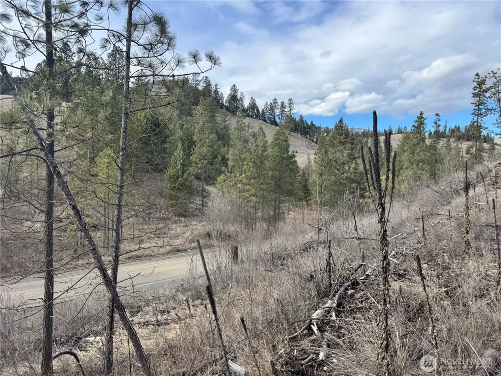 6 lot TBD Lundimo Meadows Curlew, WA 99118