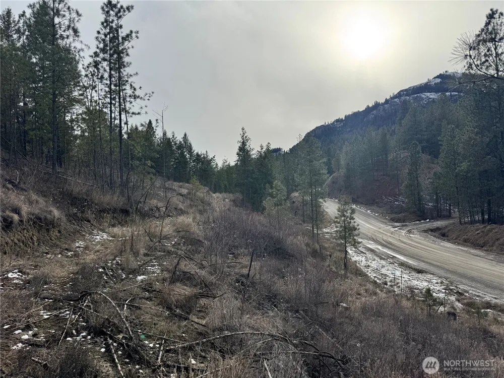 6 lot TBD Lundimo Meadows Curlew, WA 99118