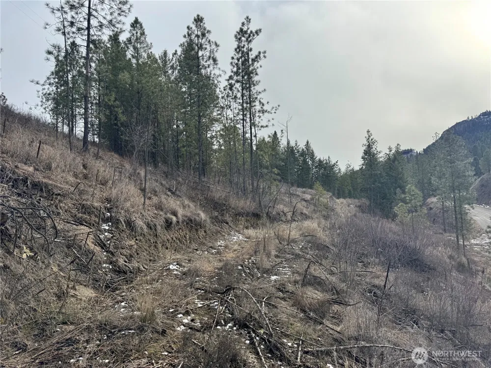 6 lot TBD Lundimo Meadows Curlew, WA 99118