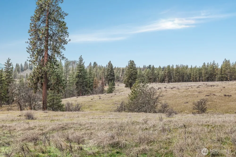 932 Zelinski Road Goldendale, WA 98620