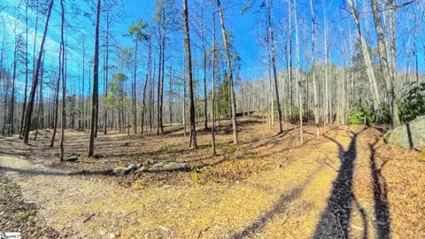 1100 Panther Park Trail