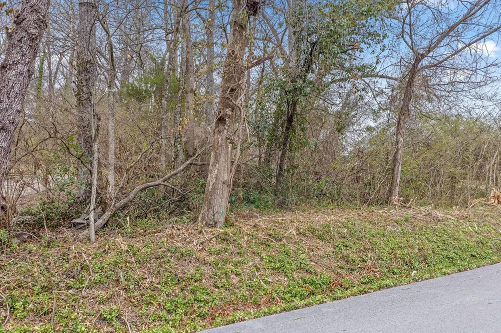 Berkley Drive Red Bank, TN 37415